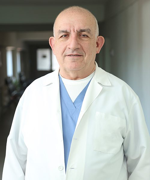 Վիլեն Մանուկյան